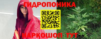 индика Бузулук