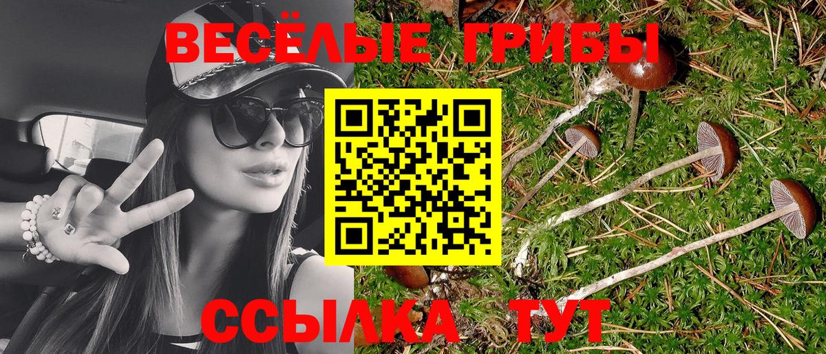 Псилоцибиновые грибы Cubensis  Вход с VPN  Михайловск 
